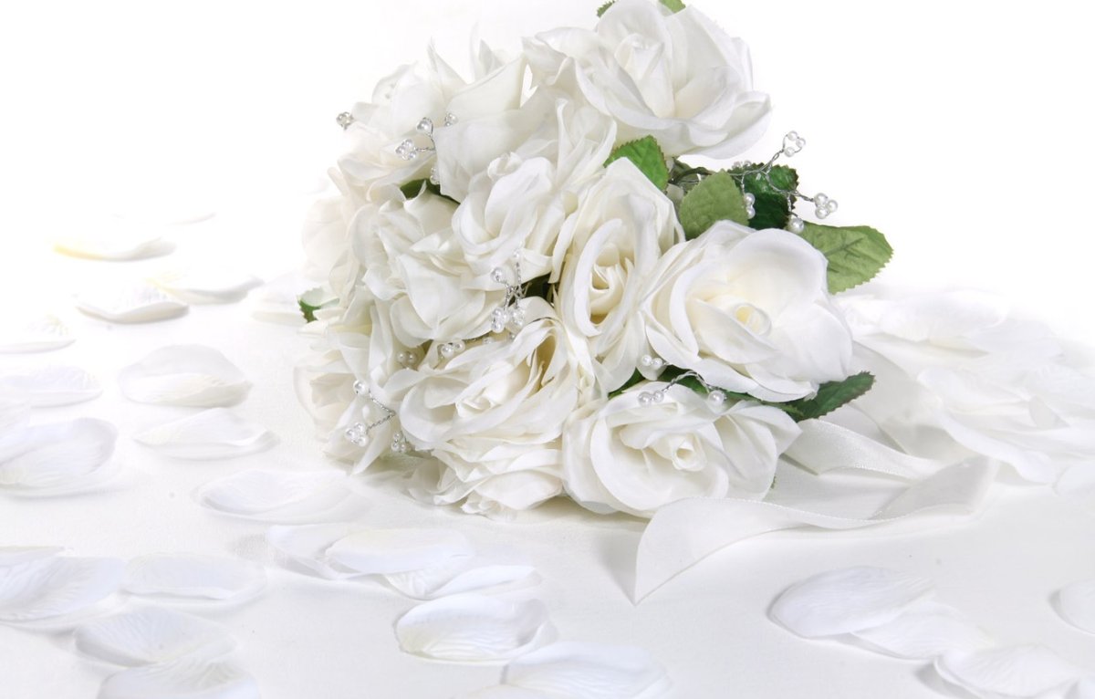 Открытки с белыми розами