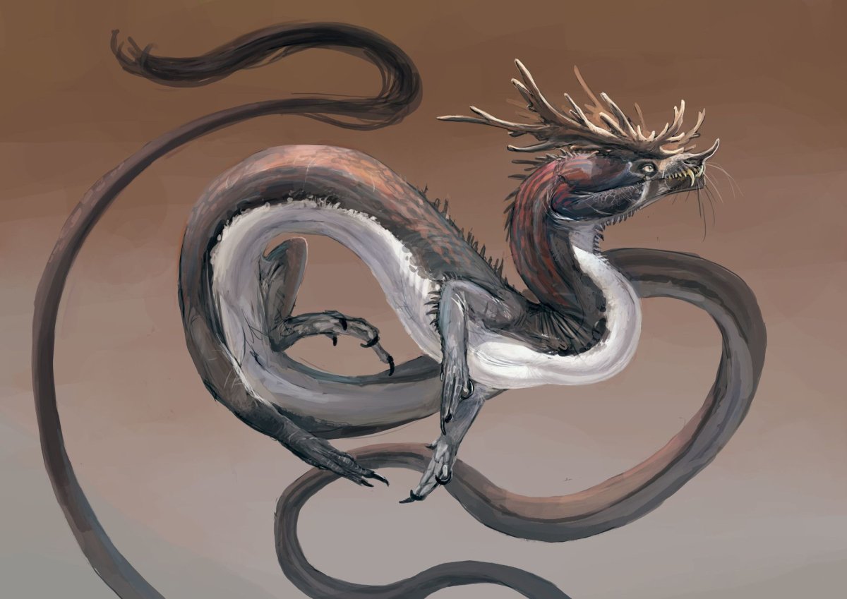 Сюаньлун черный дракон