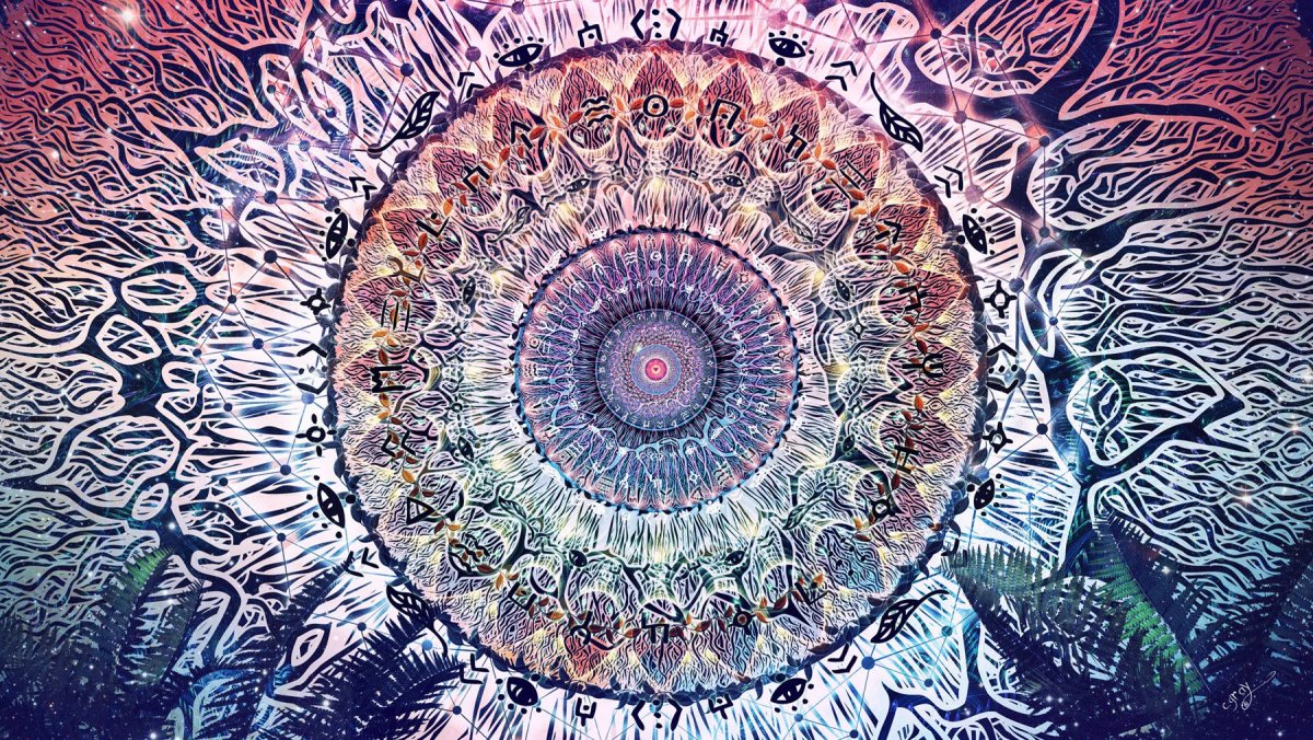 Камерон грей картины