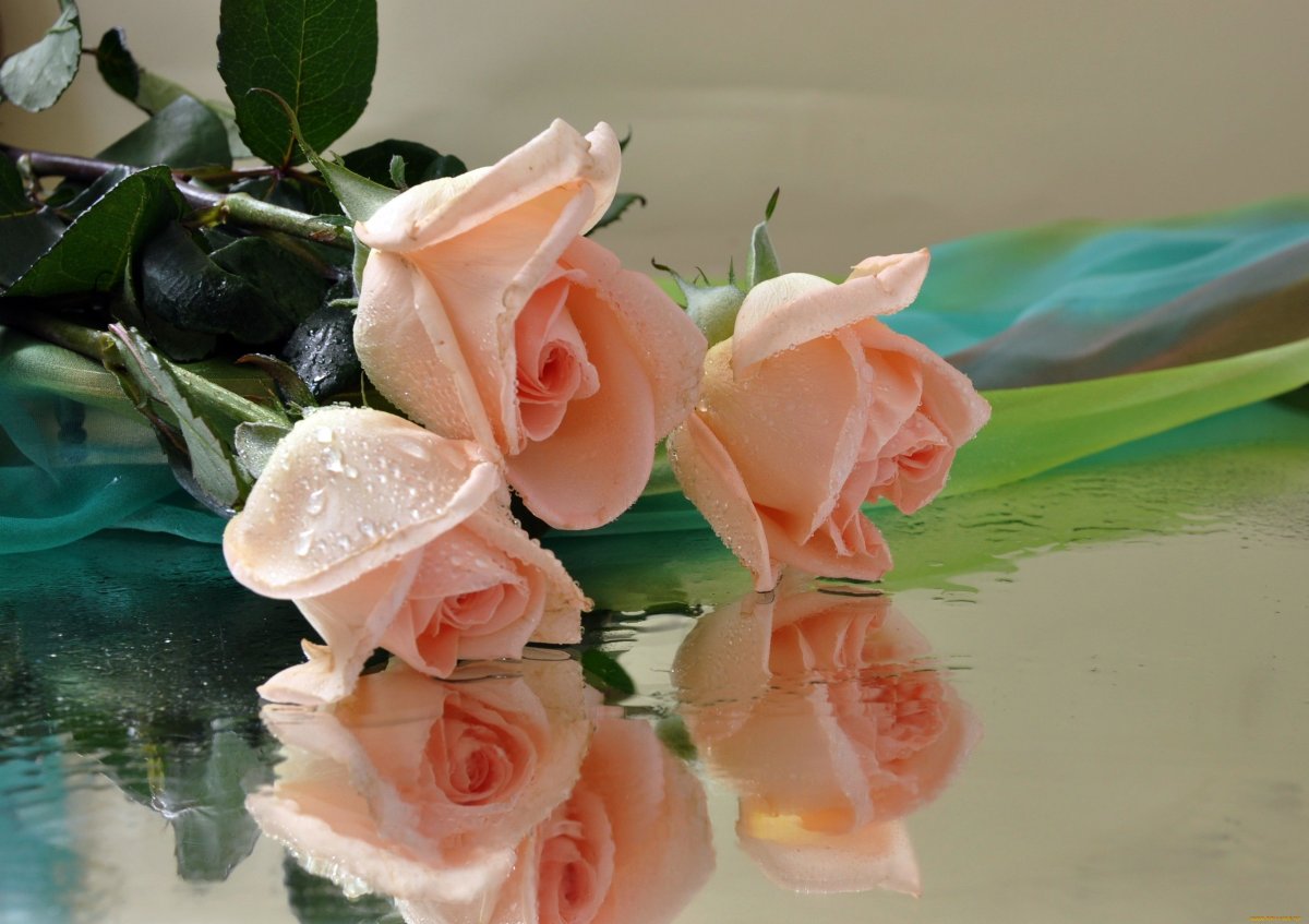 С днём рождения всех благ