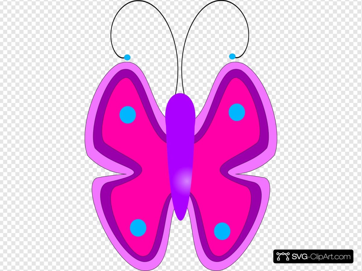 Бабочки картинки для детей