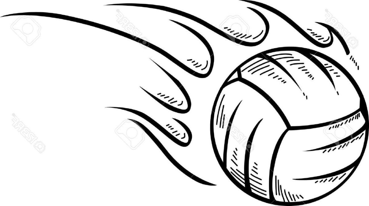 Волейбольный мяч вектор