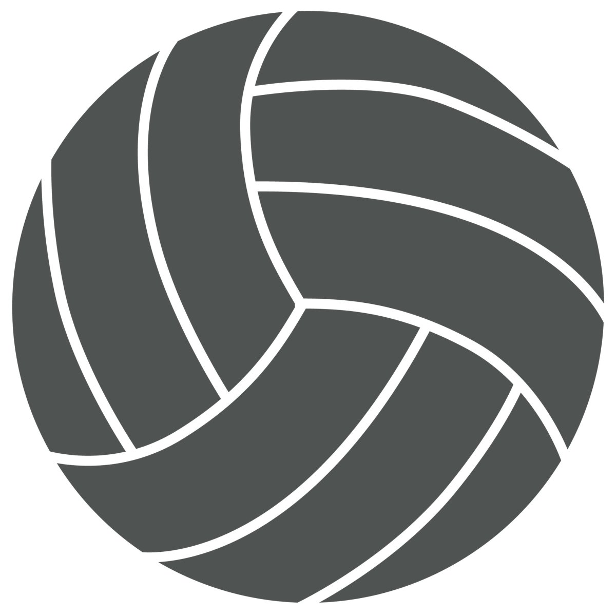 Волейбольный мяч векто