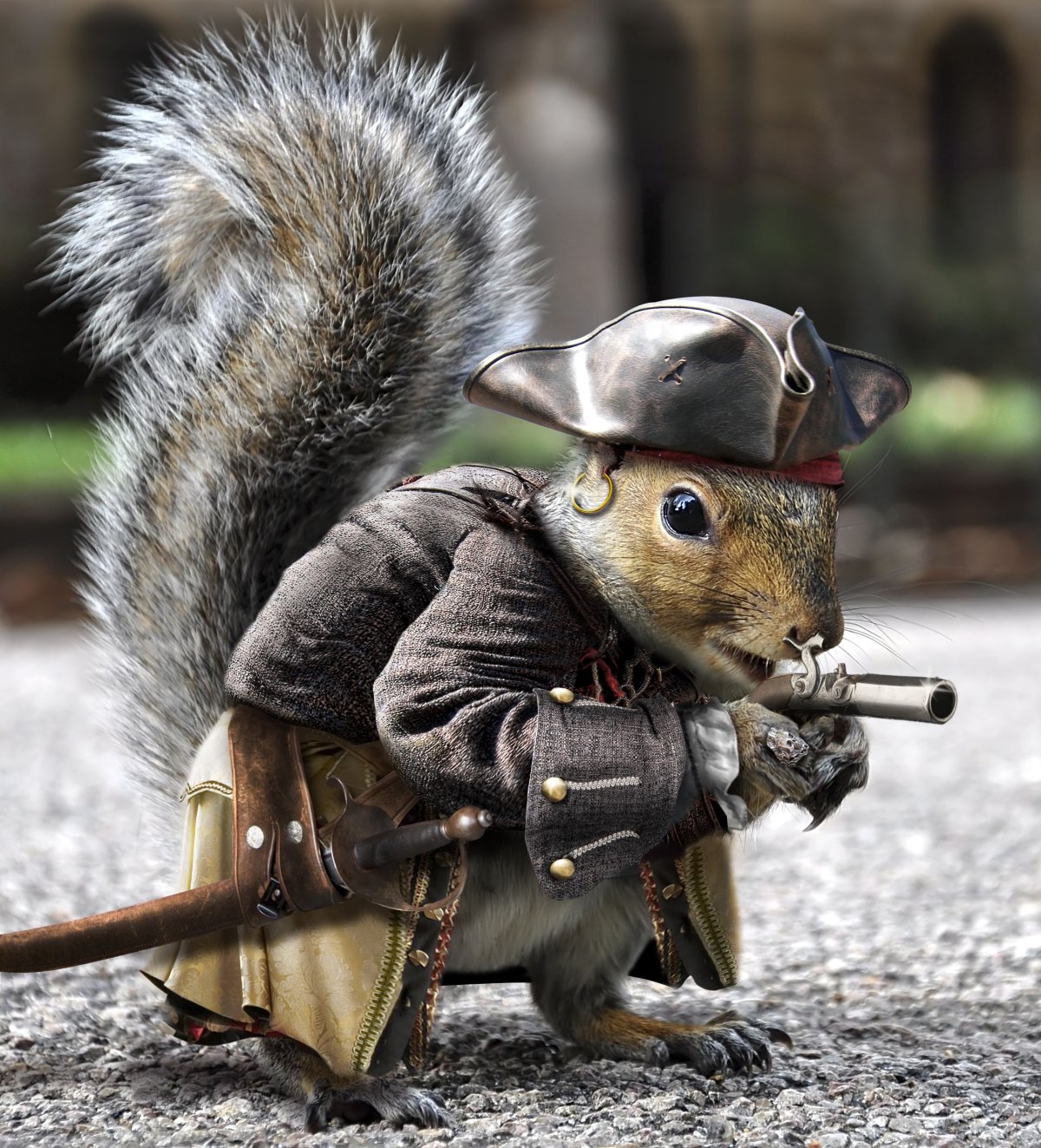 Забавные животные