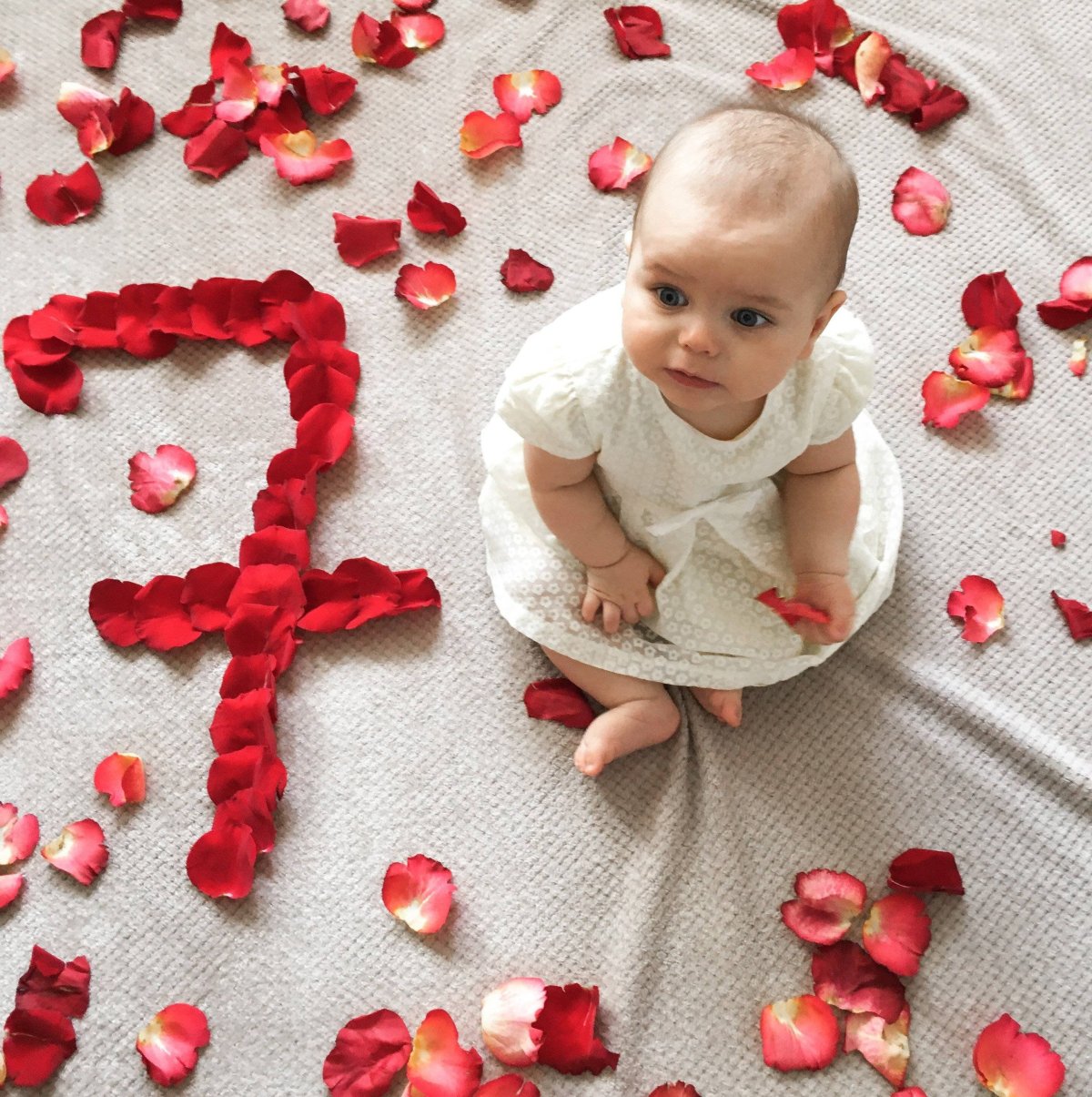 Спокойной ночи, Медвежонок!