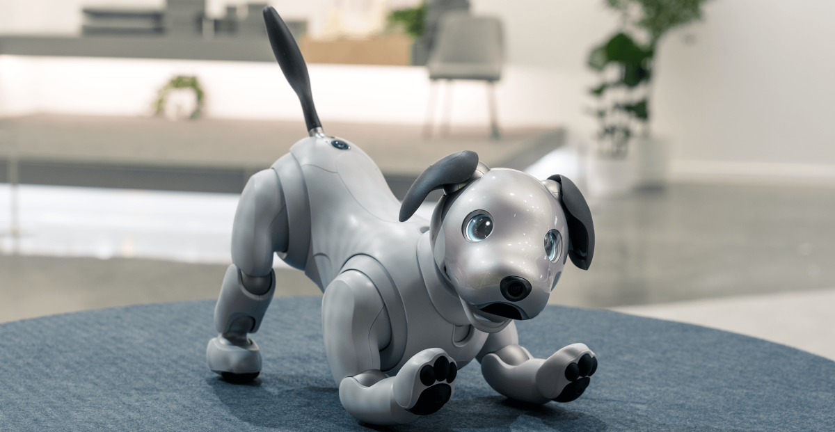 Aibo робот-собака от Sony