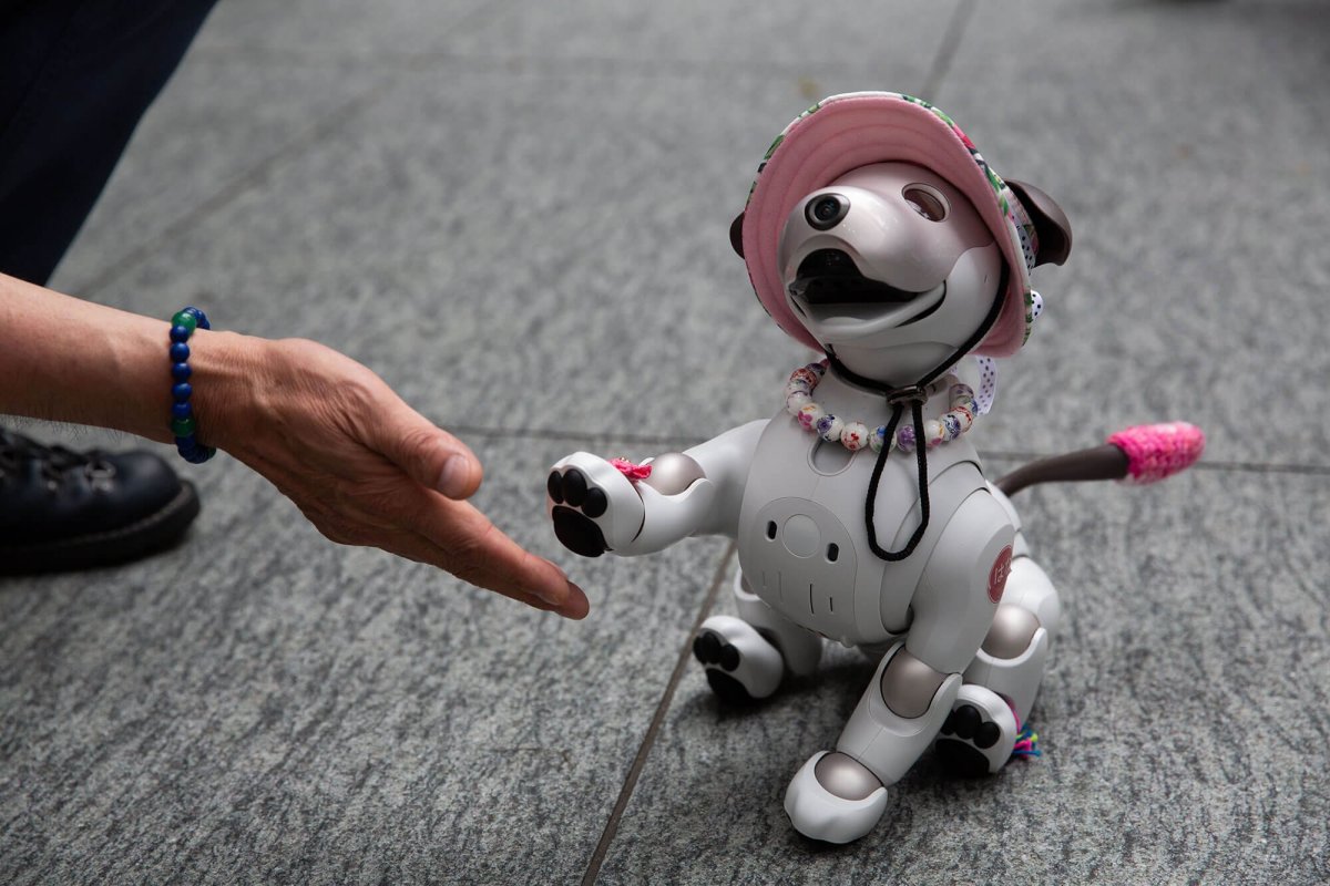 Собаки роботы настоящие