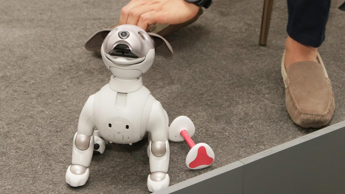 Собачка Aibo корпорации Sony. 2018