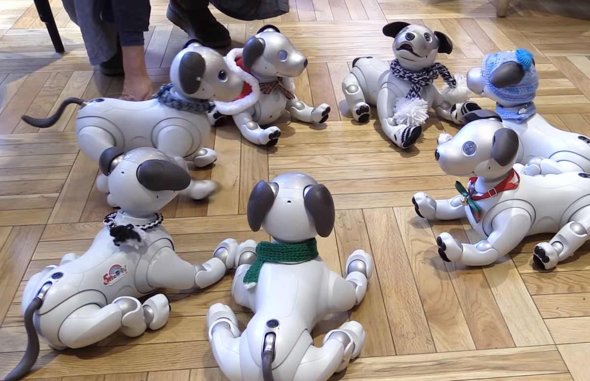Роботы Токио собаки
