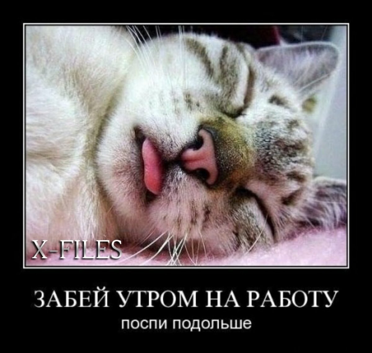 Спать утром на работу