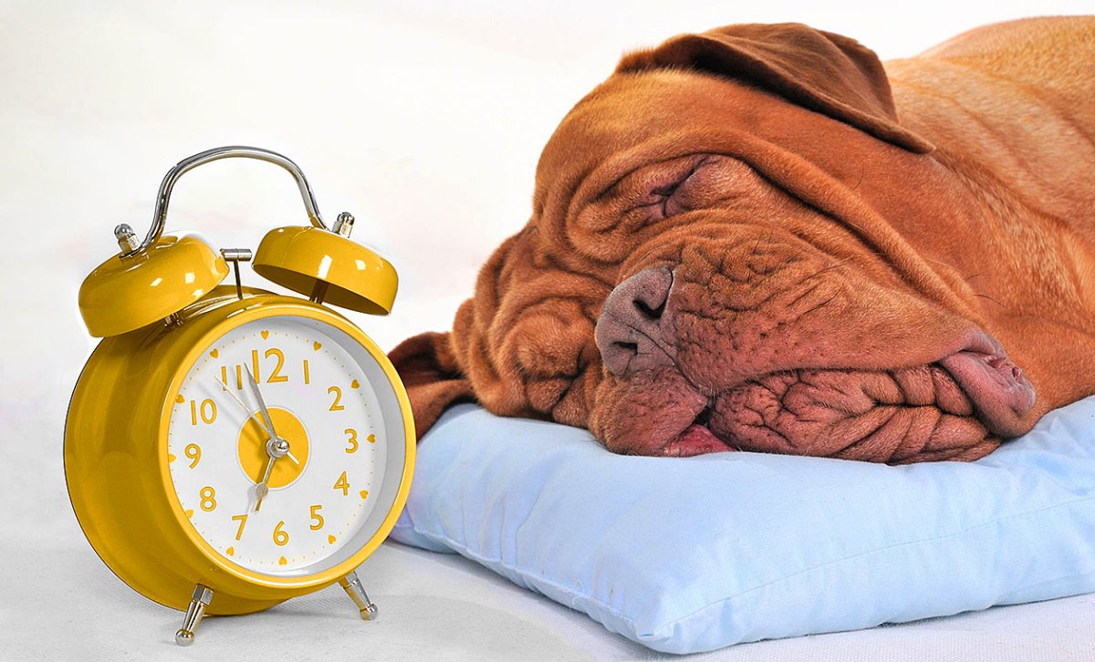 Открытки с понедельником прикольные