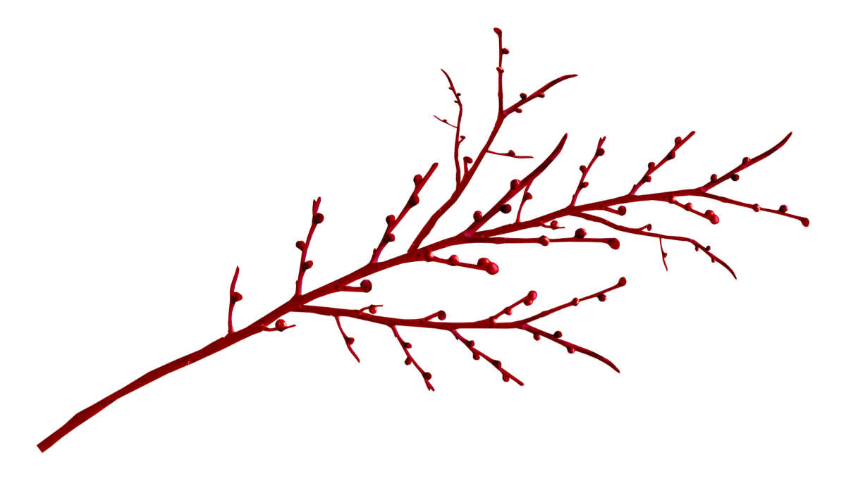 Веточка с мелкими бутончиками