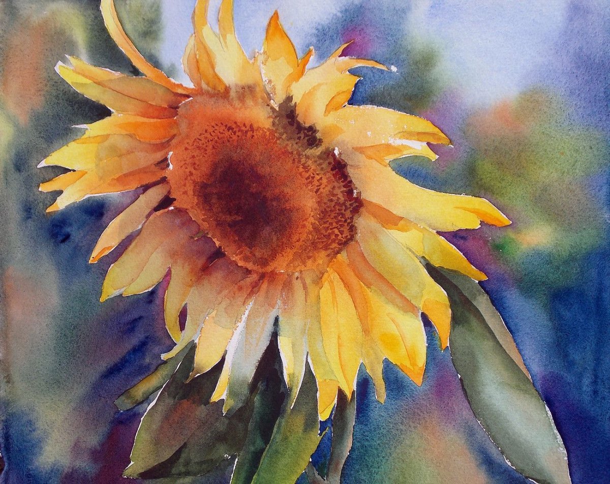 Подсолнухи акварелью Олега Тимошина