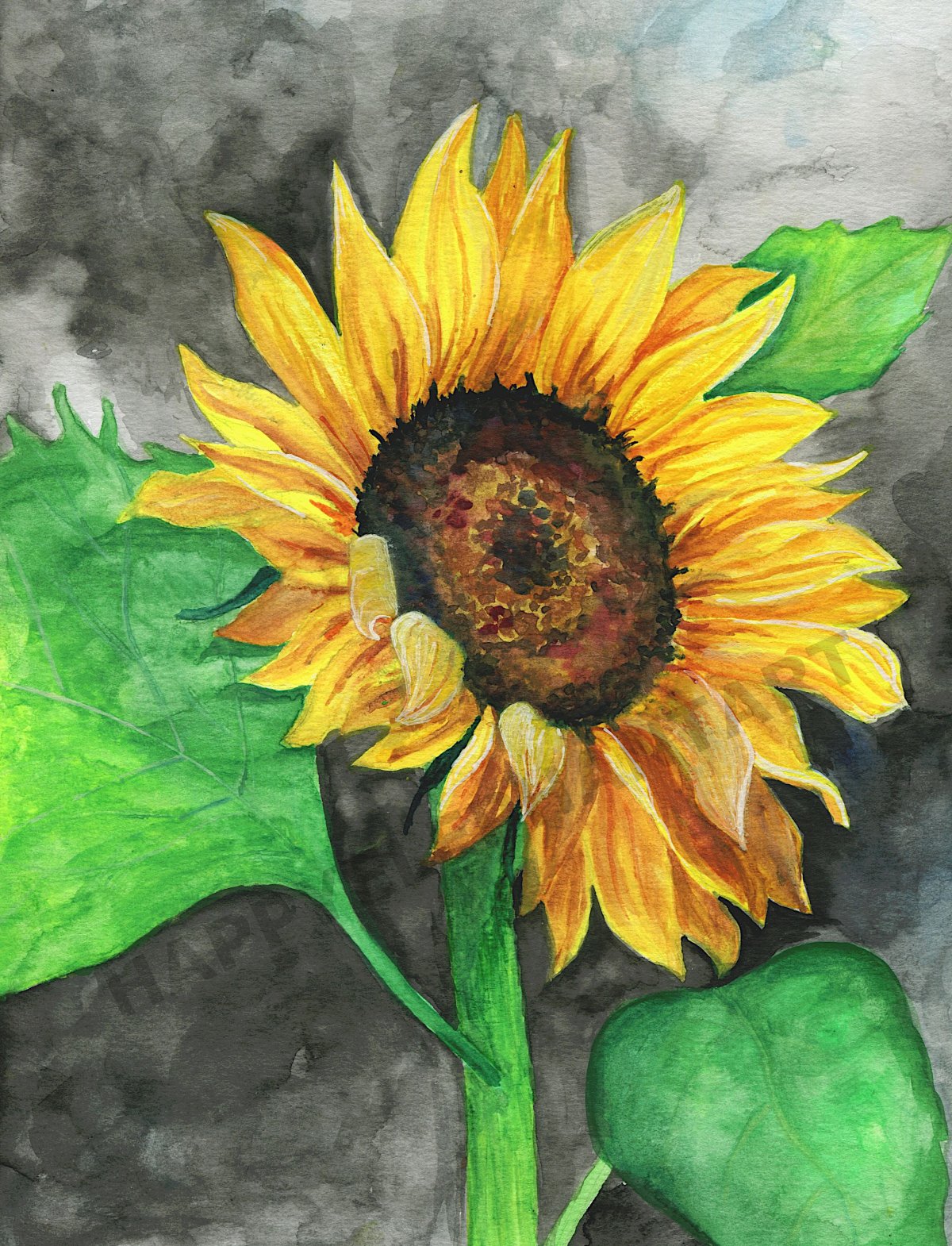 Подсолнухи акварелью Куцаевой Дарьи