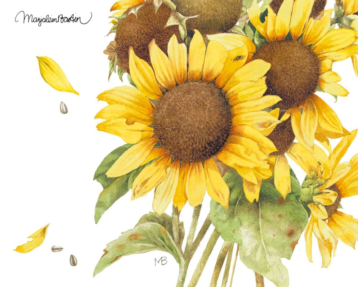 Пейзаж поле акварель