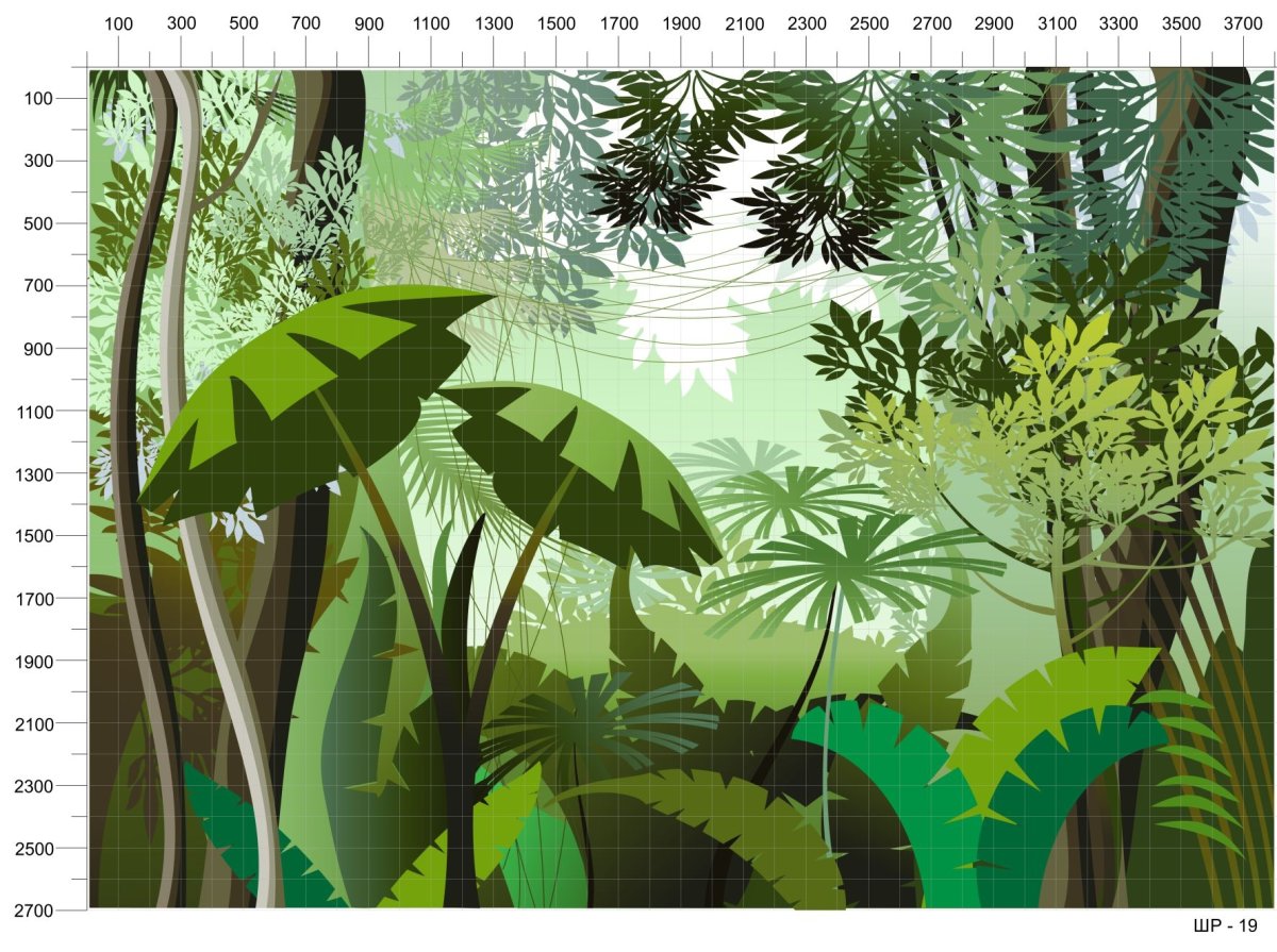 Тропические леса в графике