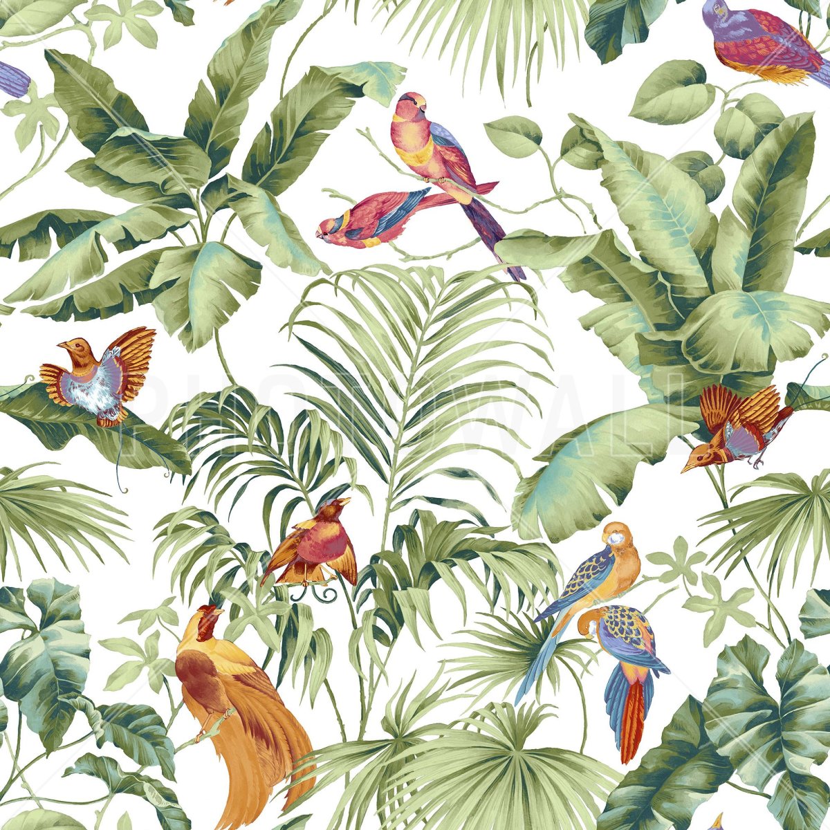 Фотообои тропический принт