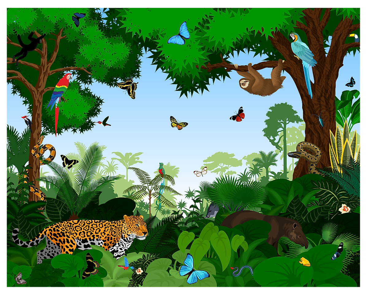 Животный мир джунглей