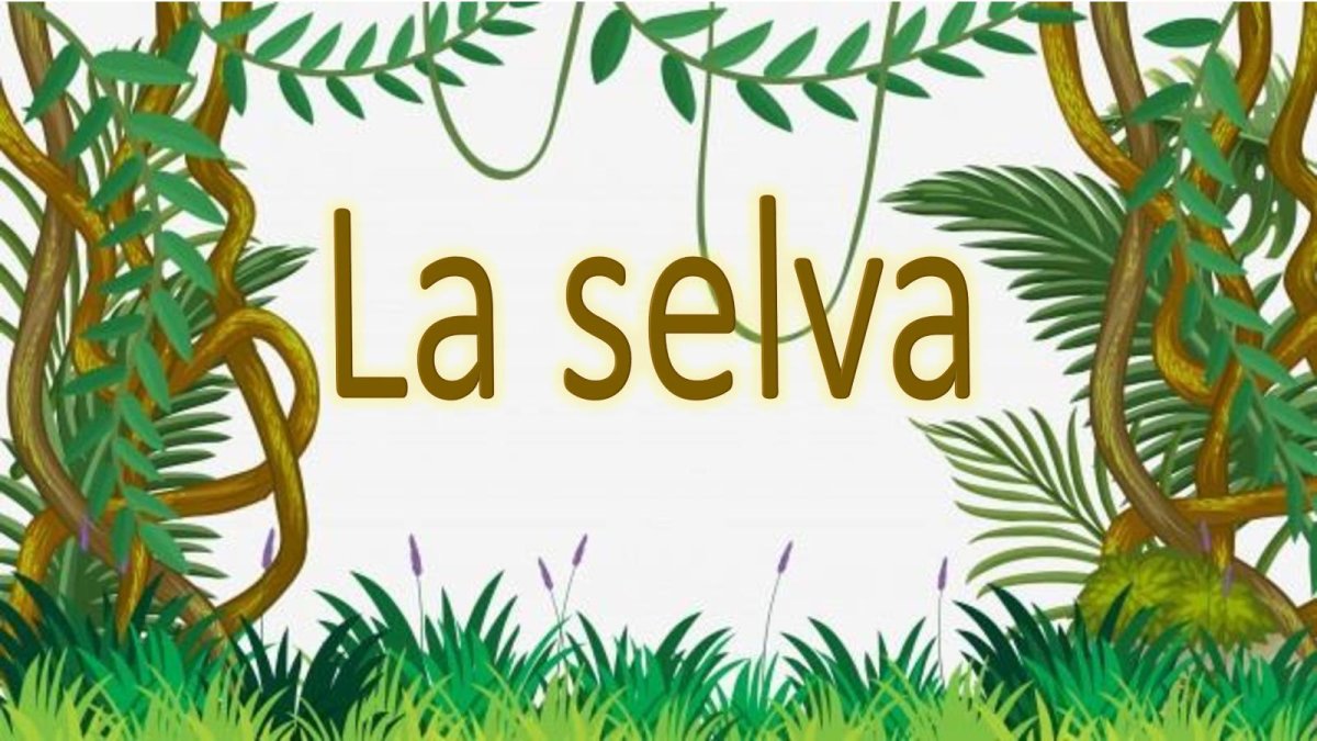 Лиана для детей