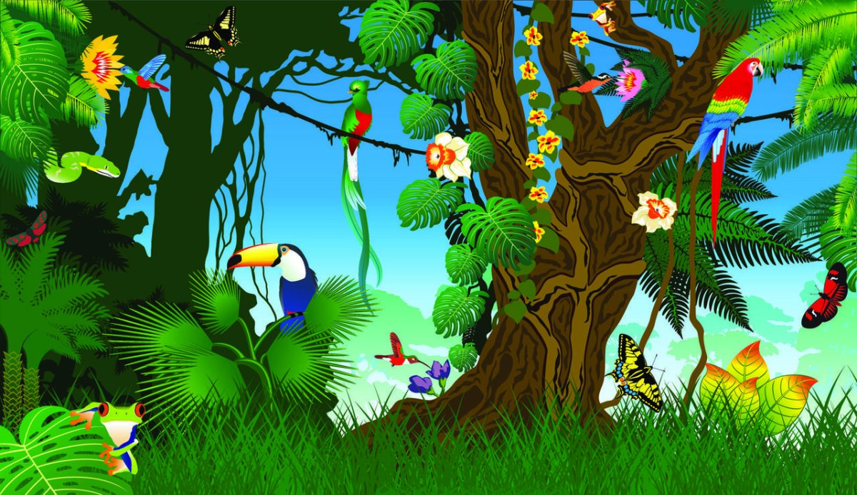 Тропические леса для детей