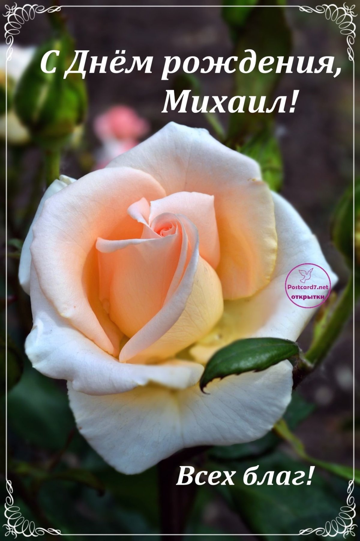Поздравления с днём рождения мтхаила