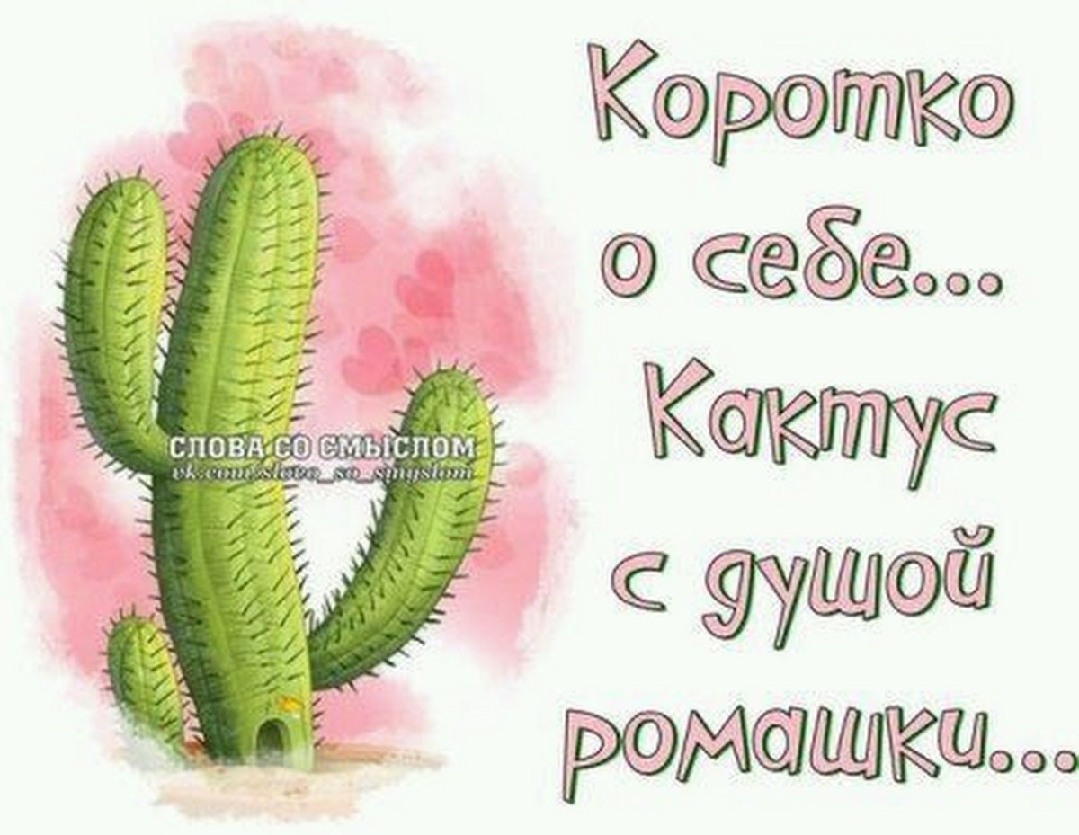 Открытка с кактусом