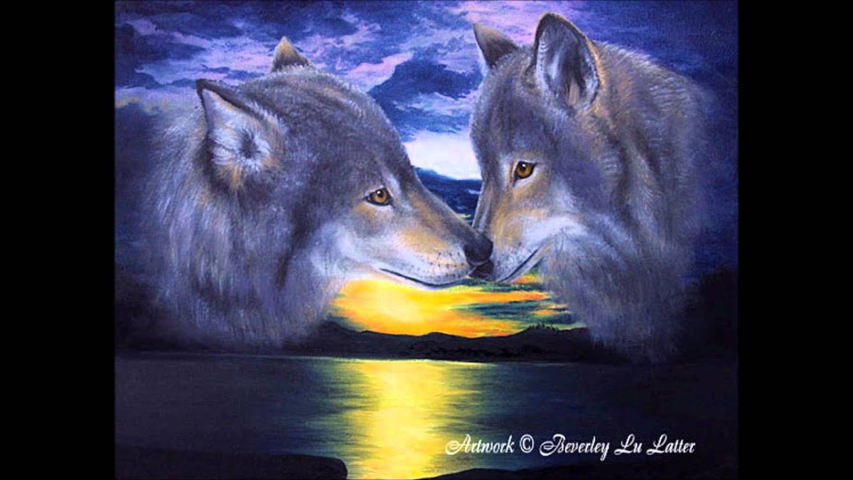 Волк и волчица любовь