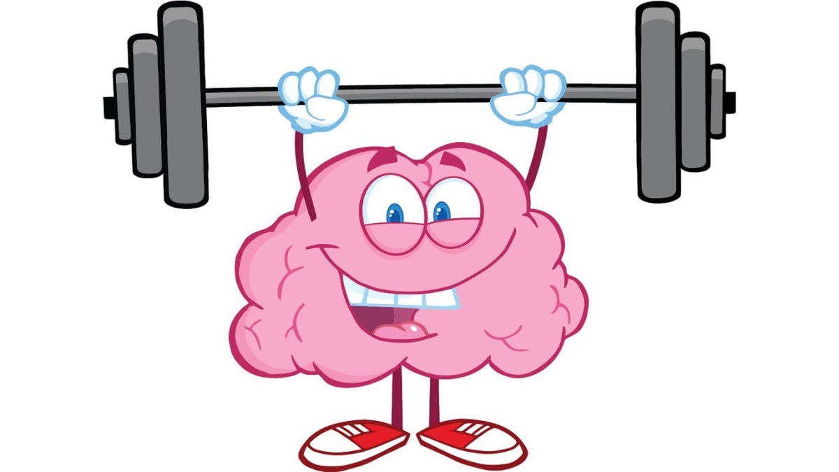 Мозг со штангой