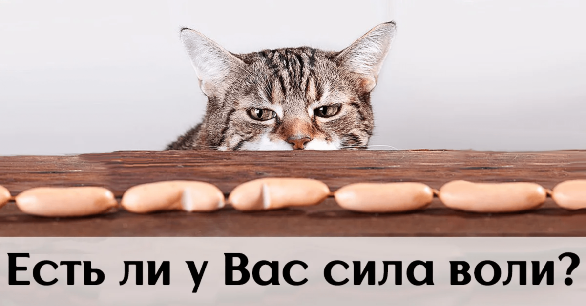 Сила воли иллюстрация