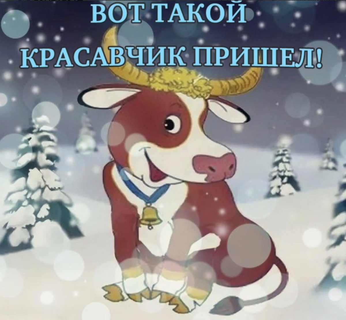 «Новогодний бычок»