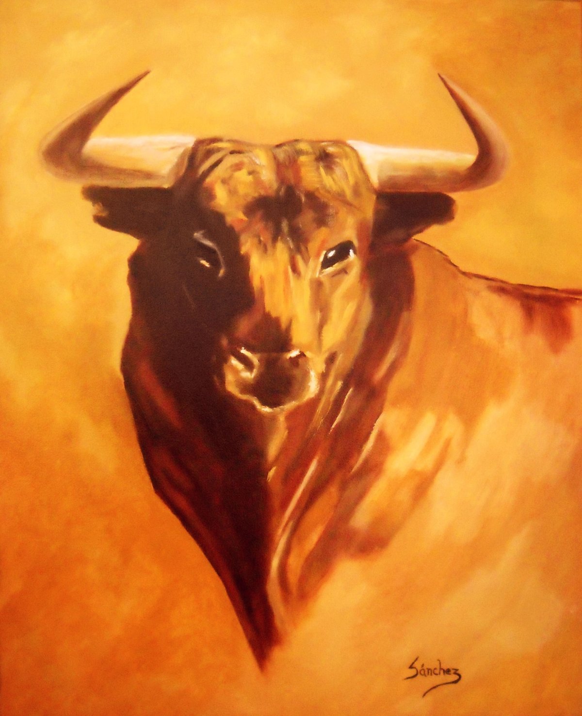 Бык Торо картины