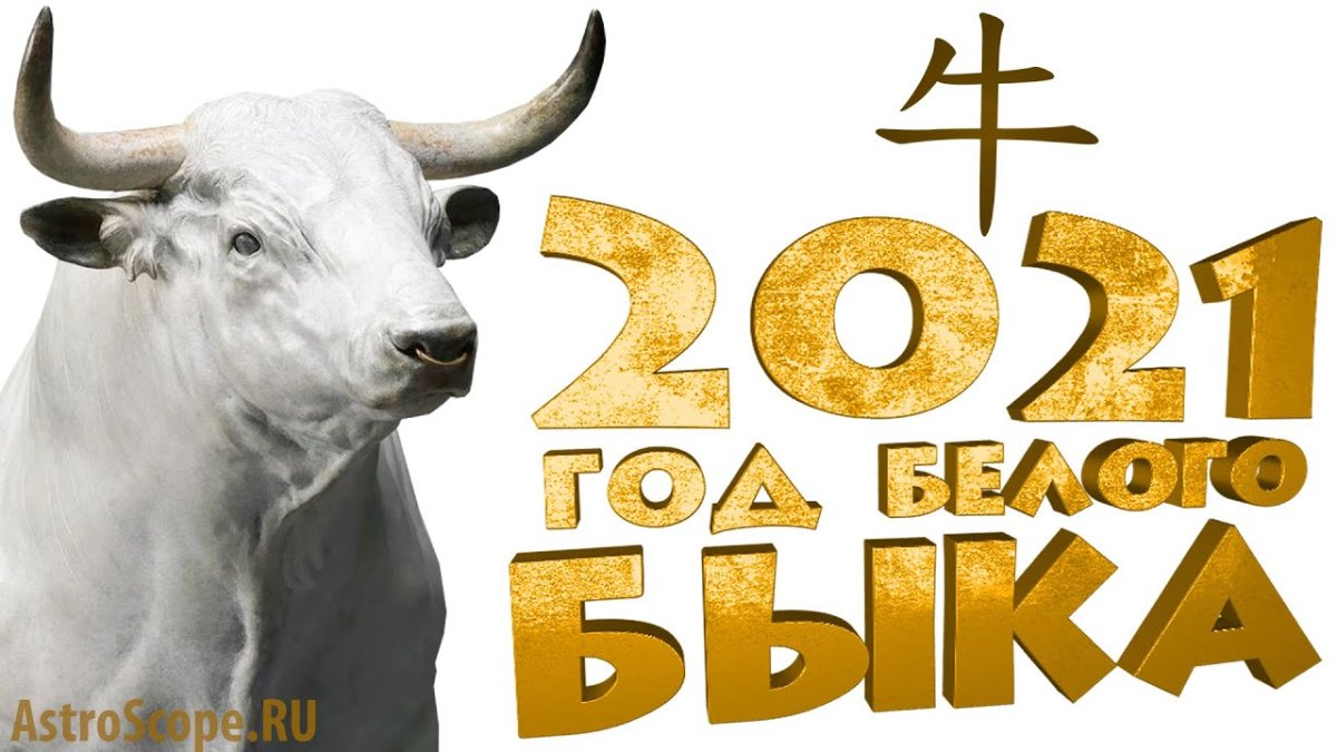 Бык 2021