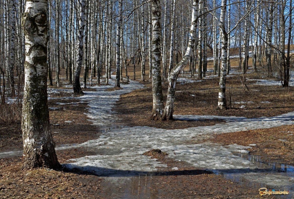 Снежные проталины