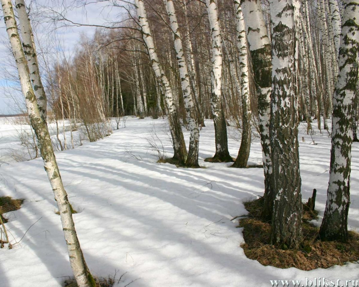 Весна на реке проталины