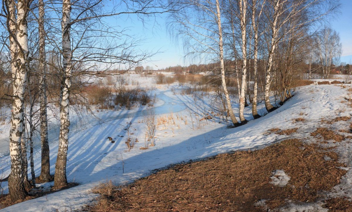 Весна март проталины