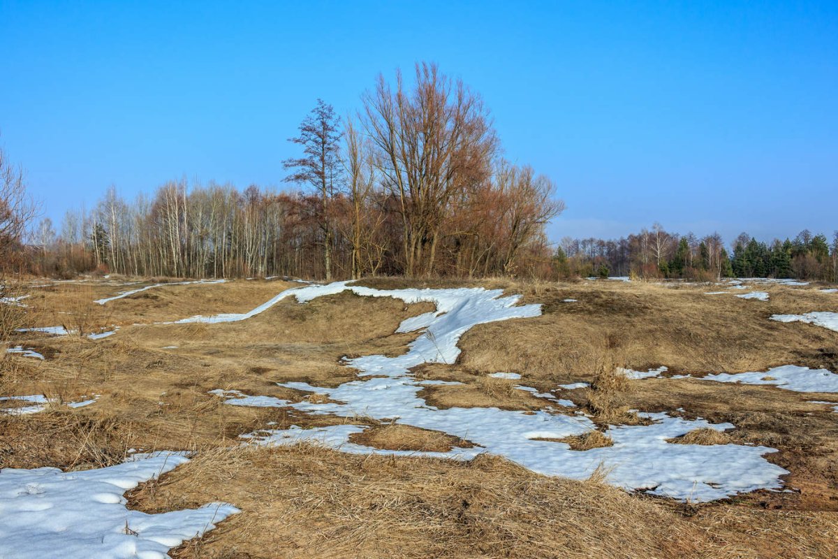 Весенняя Проталинка Левитана