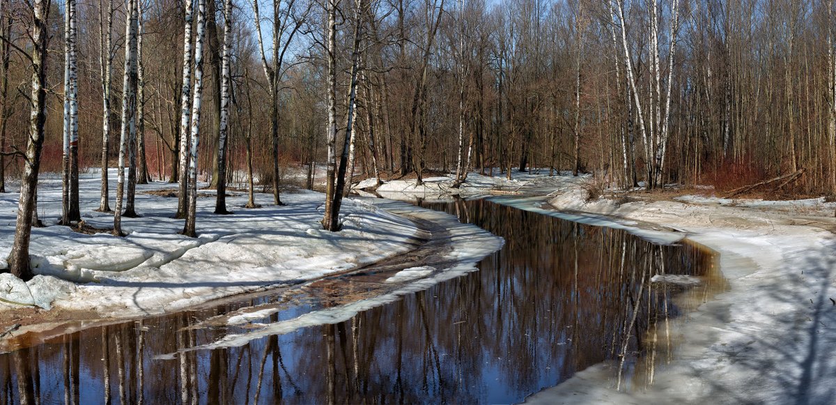 Подснежник на проталинке