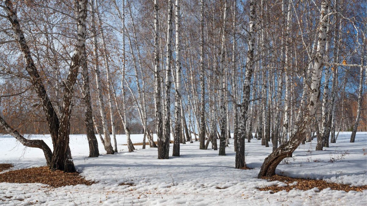 Ранняя Весна рисунок