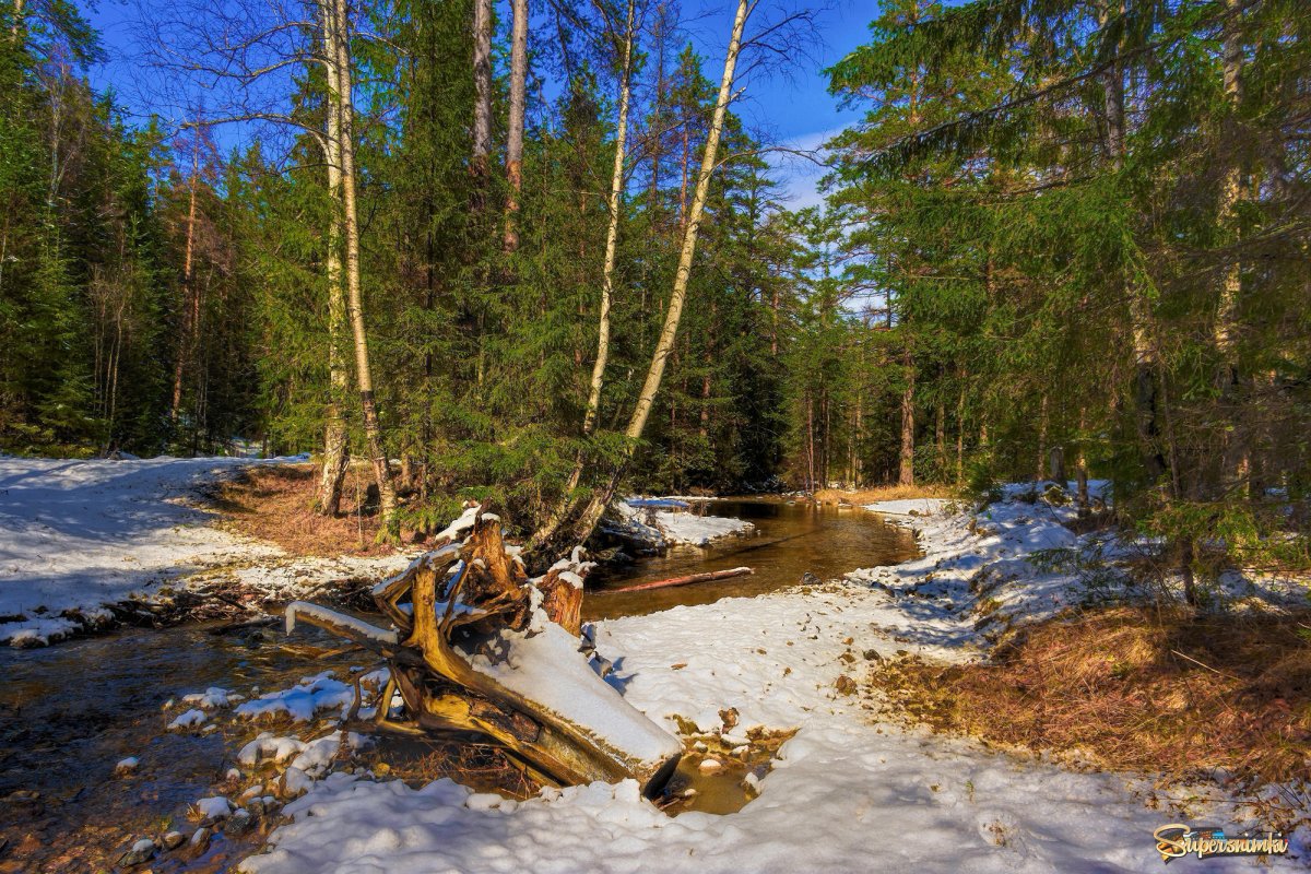 Картина проталины
