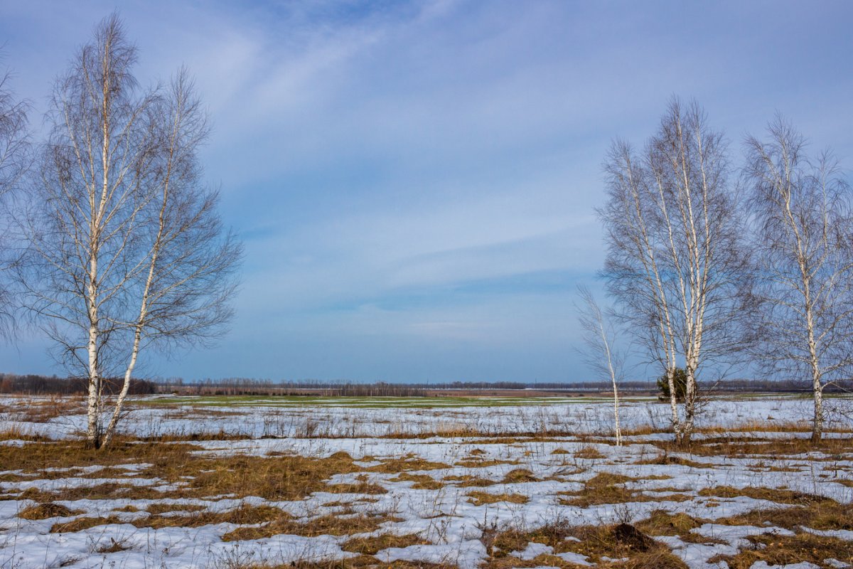 Весна деревня апрель проталины