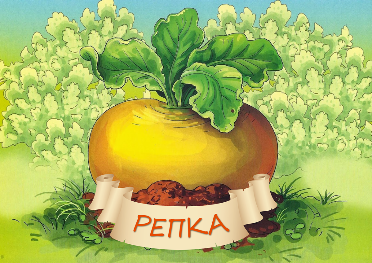 Конец сказки Репка