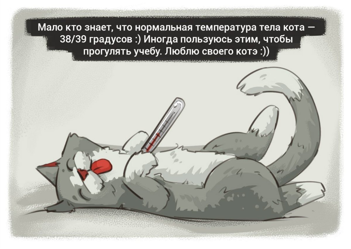 Шутки про стоматологов