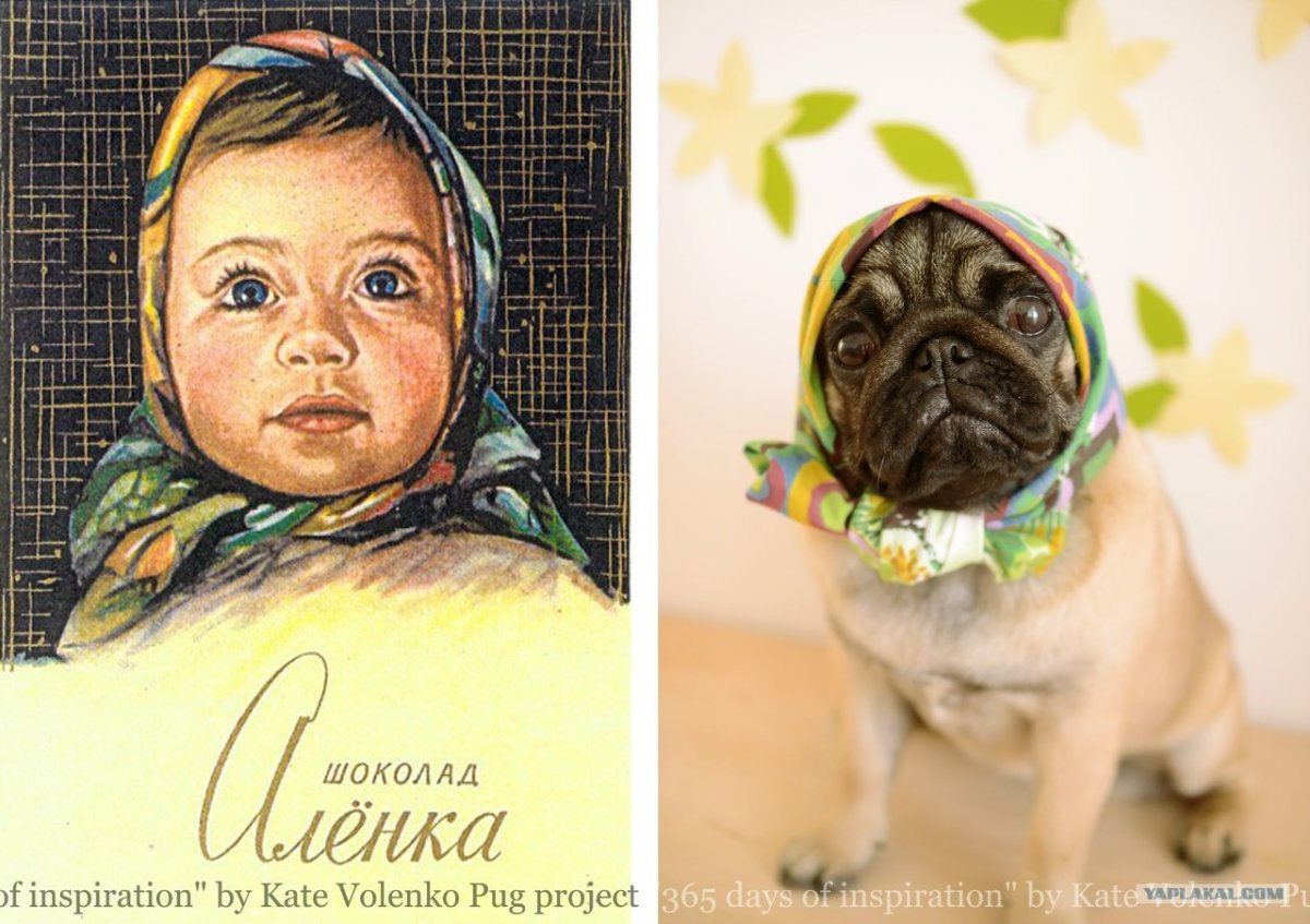 С днем рождения Алекна