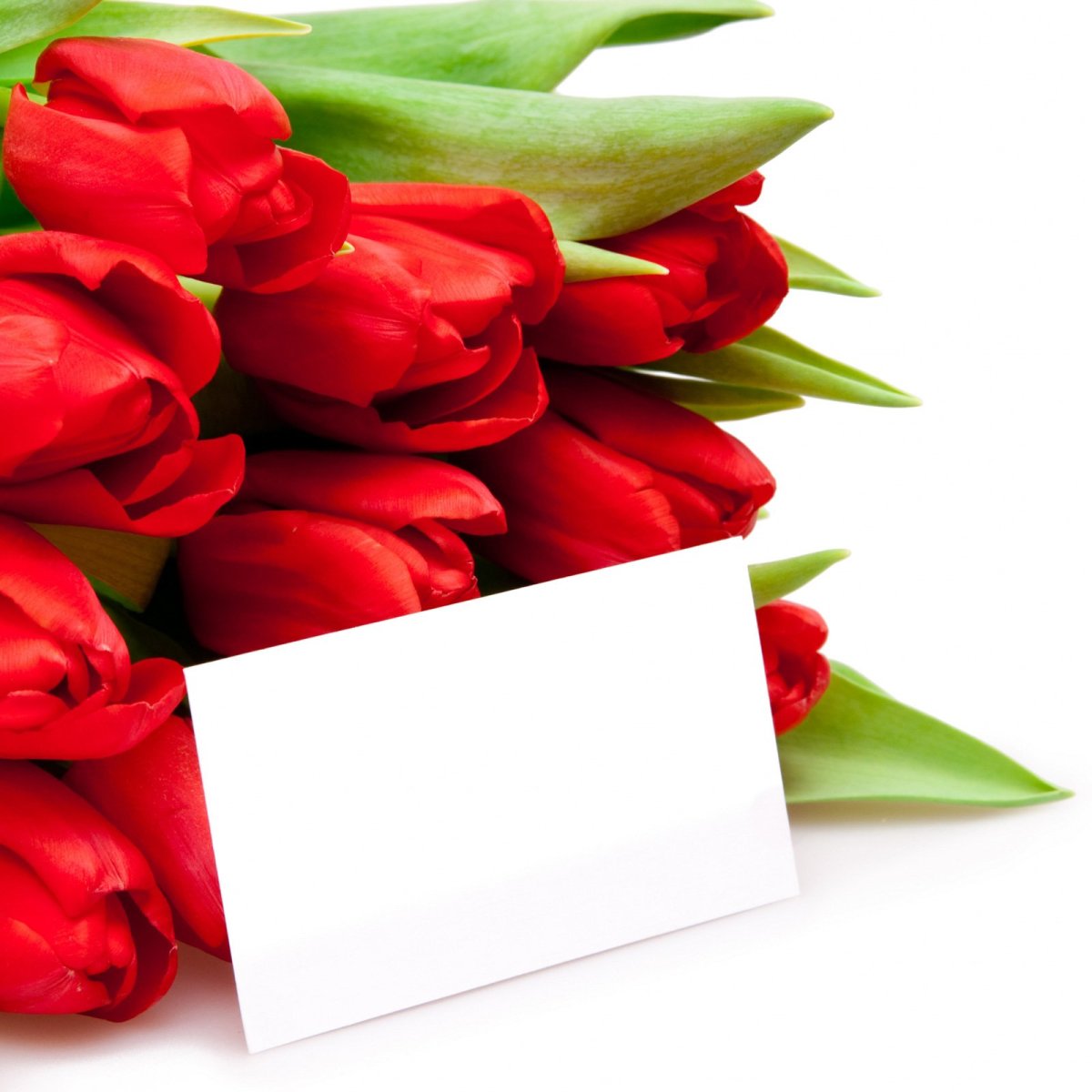 Поздравления с днём рождения Алёне