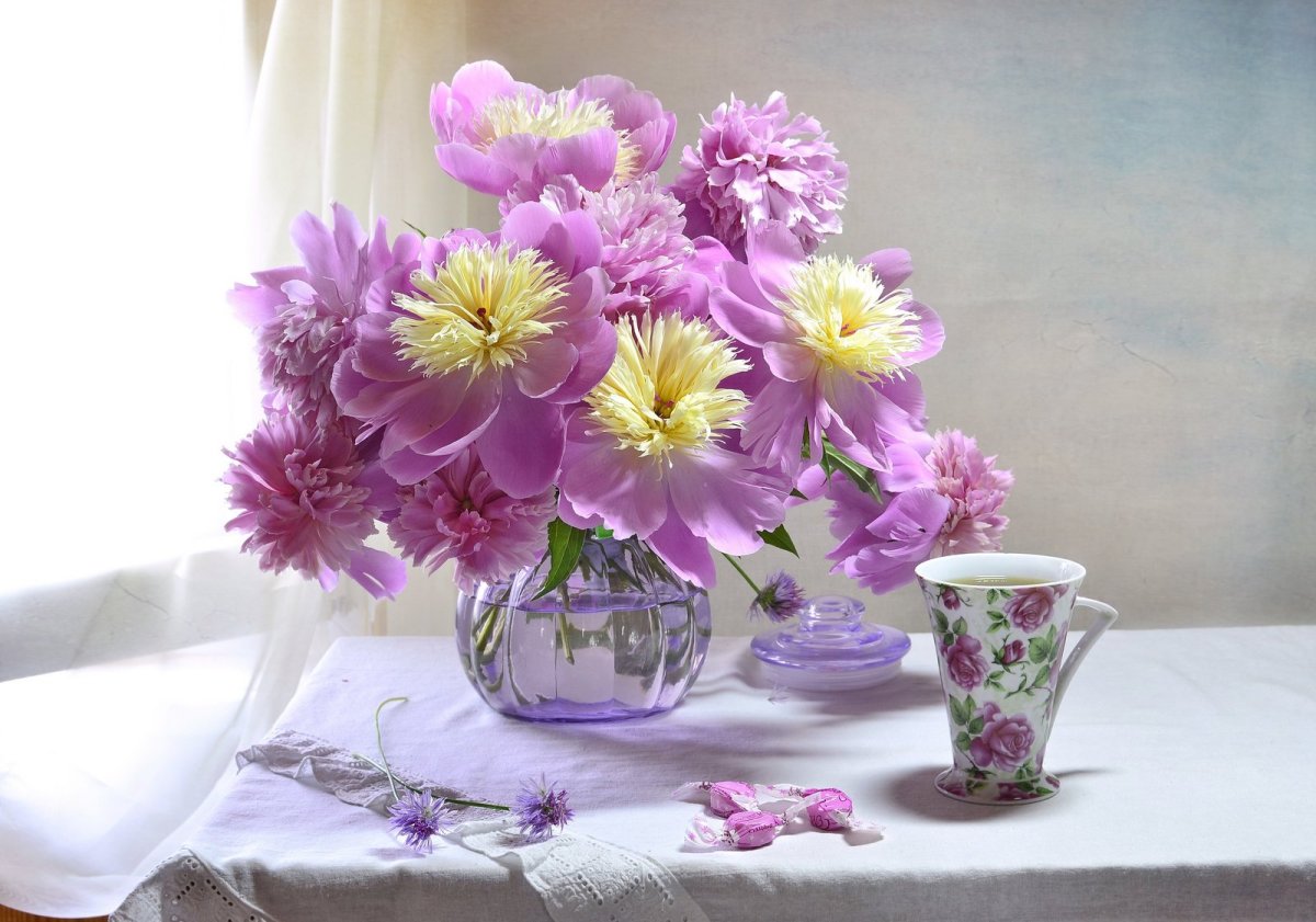 Нежное утро