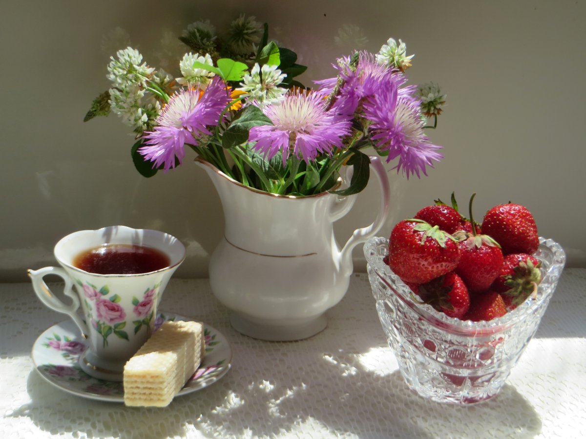 Радостного утра и прекрасного дня