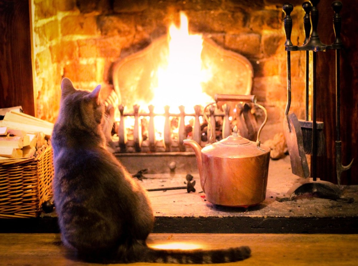 Вечер у камина