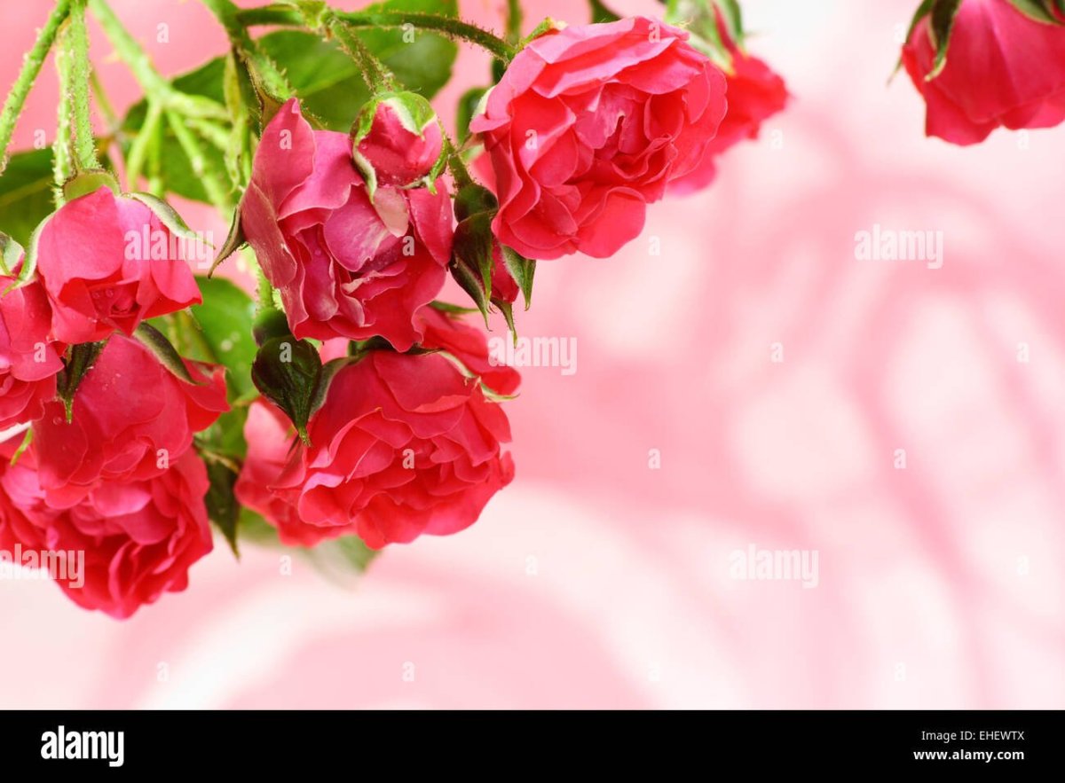 С днём рождения Валентина открытки