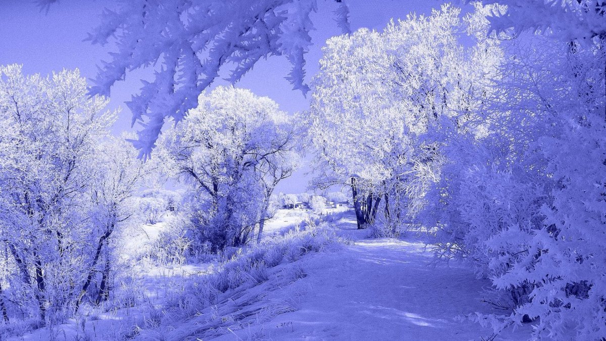 Открытки с зимней природой