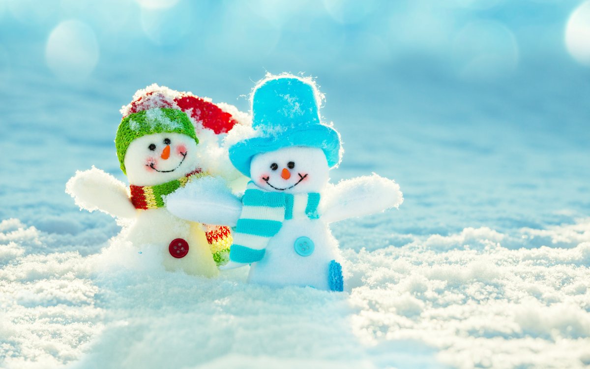 Веселая зима